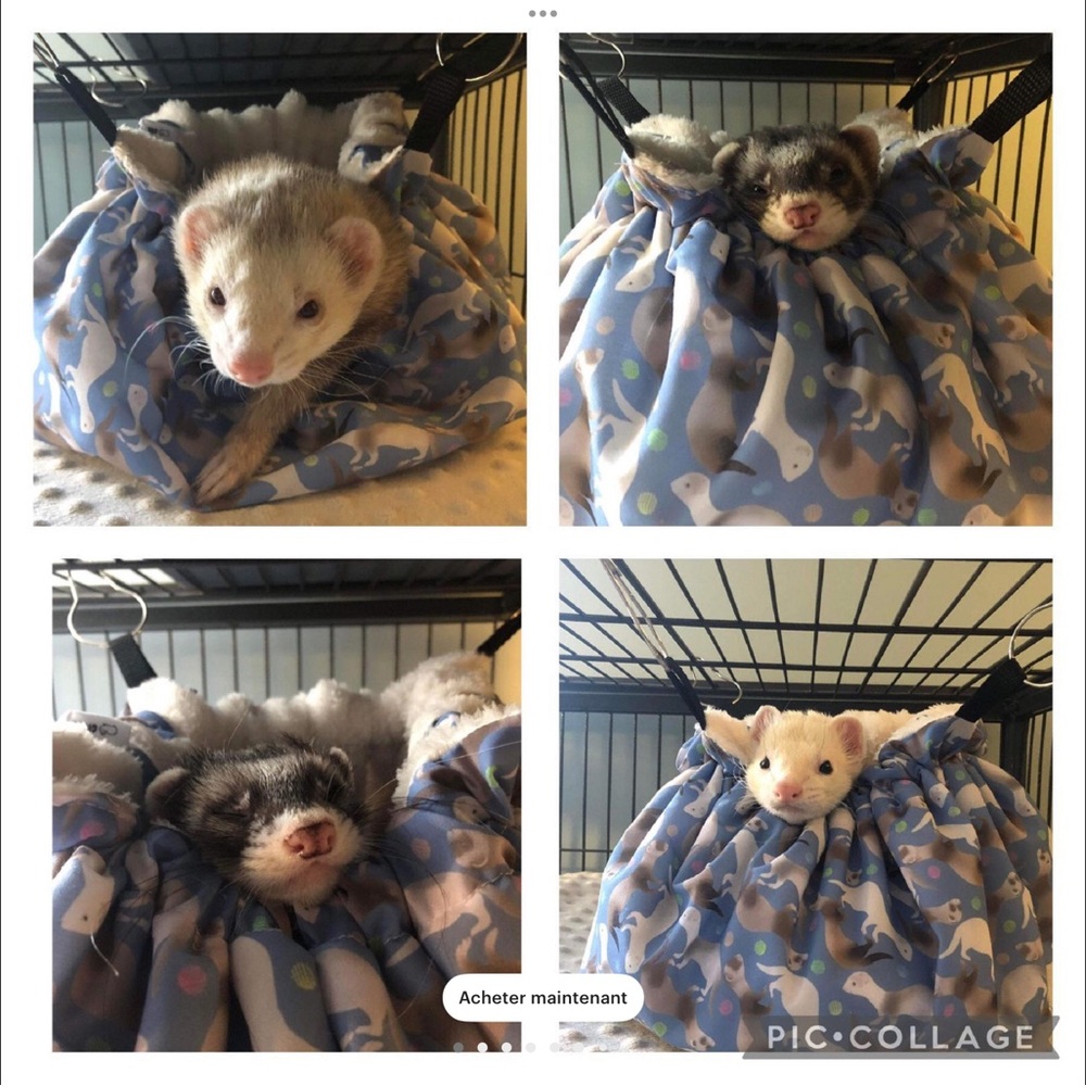 New ferret baluchon (hamac) blue beautiful print
